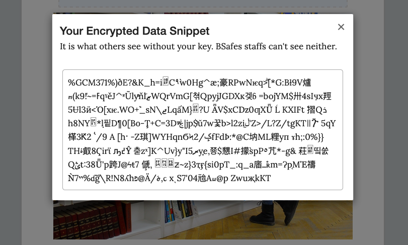 Encrypted Image Data